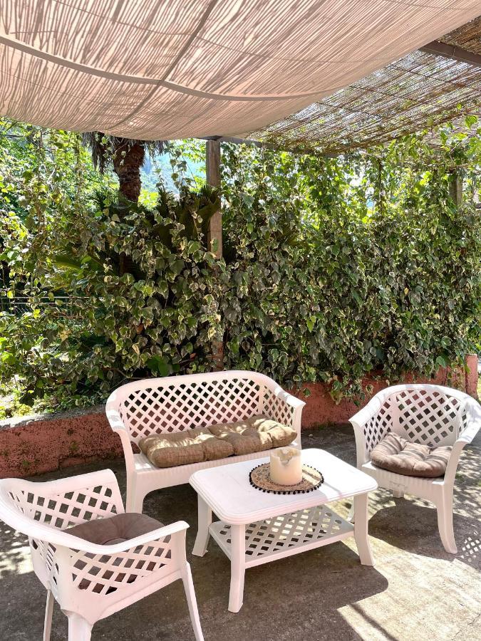 Cozy Little House Kotor Apartman Kültér fotó